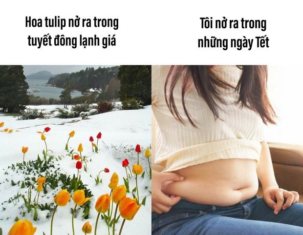 Hình minh họa (Nguồn internet) ảnh 1