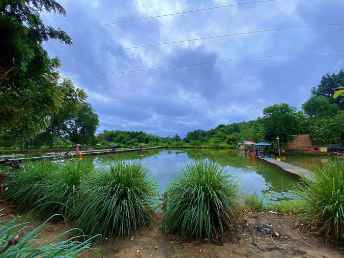 Hồ Câu Đông Dương, ảnh 2