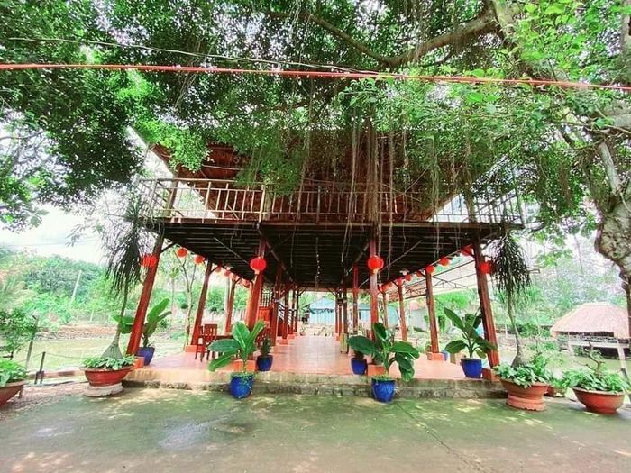 Hồ Câu Giải Trí Thủy Mộc - Hình 2
