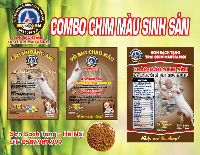 Cám Lão Đại - Hình 1