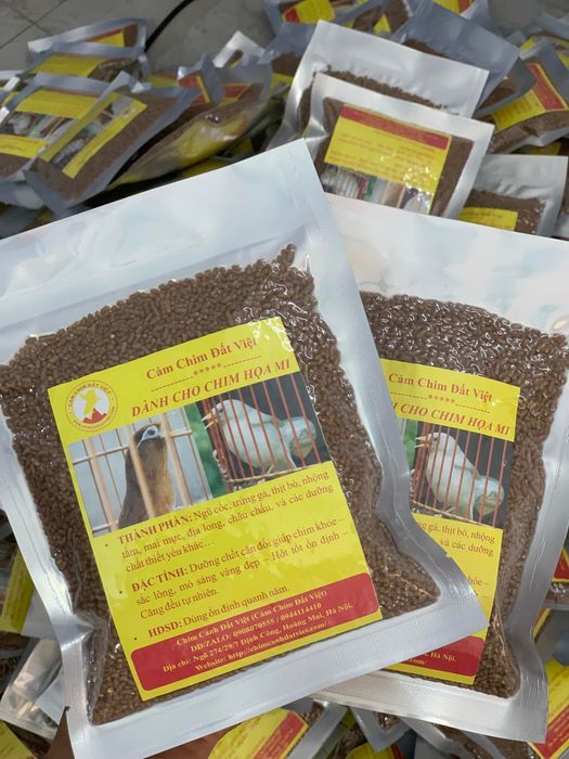 Cám Chim Đất Việt - Ảnh 2