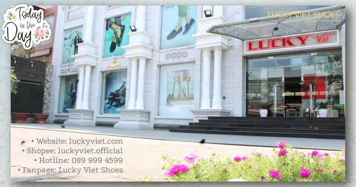 Hình ảnh của Lucky Việt Shoes 3