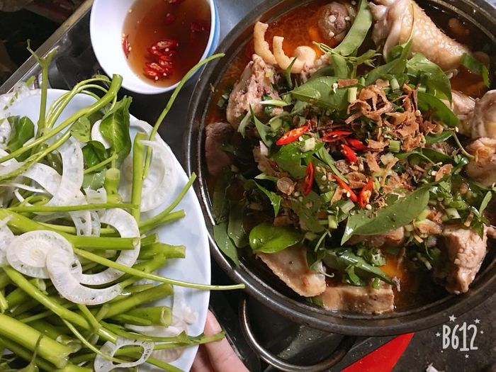 Hình ảnh Câu Cá Giải Trí Vườn Dừa 2