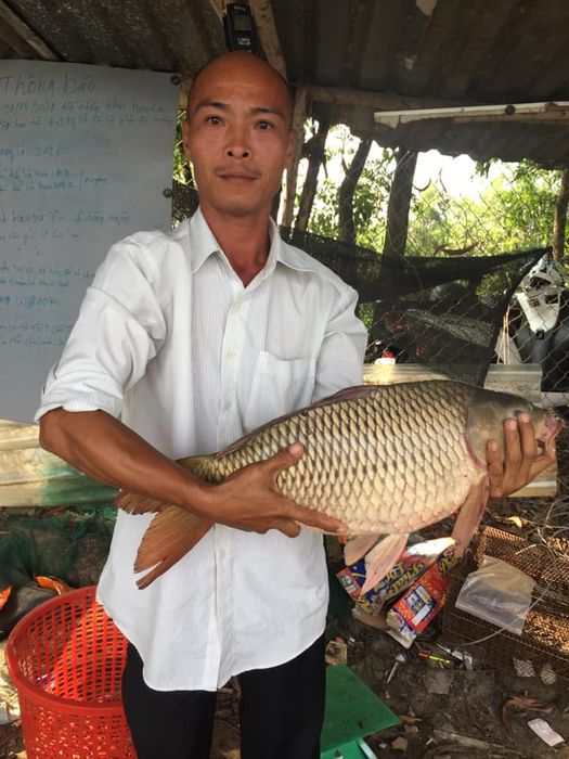 Hồ Câu Giải Trí Vườn Tràm - Hình 2