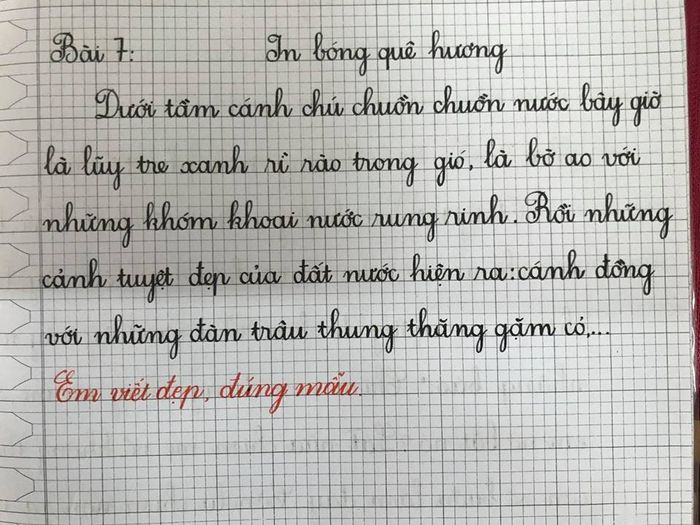Minh họa (Nguồn internet) ảnh 1