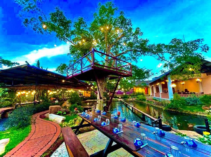 The Little Garden, ảnh 2