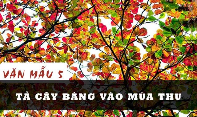 Ảnh minh họa (Nguồn internet) ảnh 1