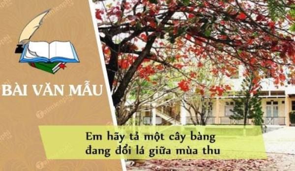Hình minh họa (Nguồn từ internet) - Ảnh 1