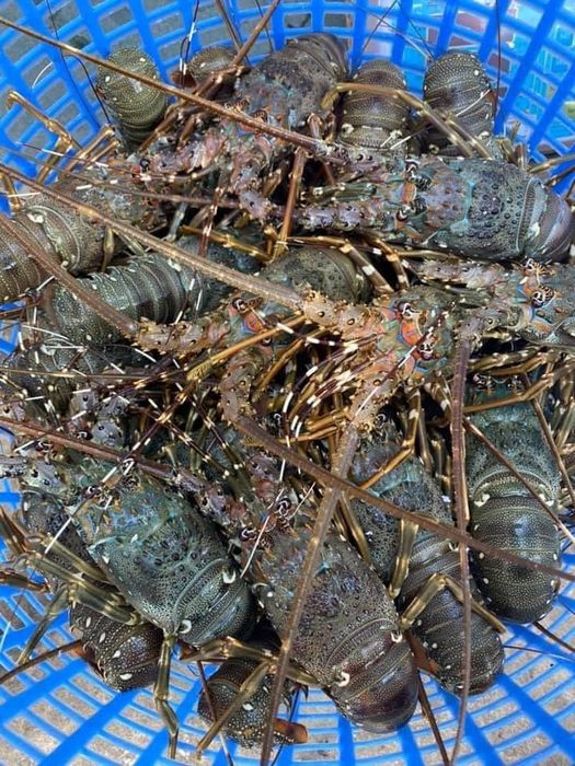 Hình ảnh Vựa Hải Sản Tươi Sống Tài Cua 2