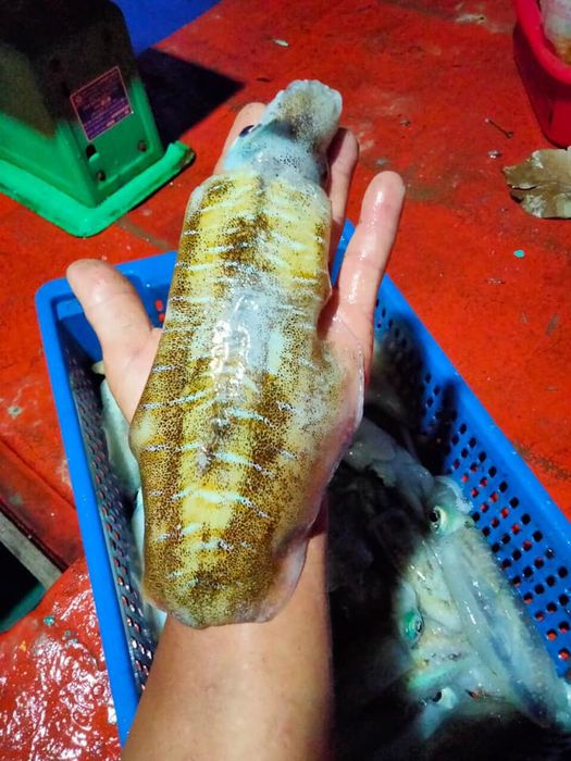 Hình ảnh Vựa Hải Sản Cao Cấp 6 Mỹ 1