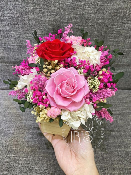 Hình ảnh 1 của Hoa Khô Iris