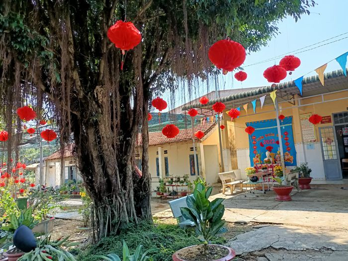 Trường Mầm Non Đăng Hà - Ảnh 2