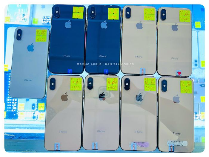 Hình ảnh 3 của BÔNG APPLE
