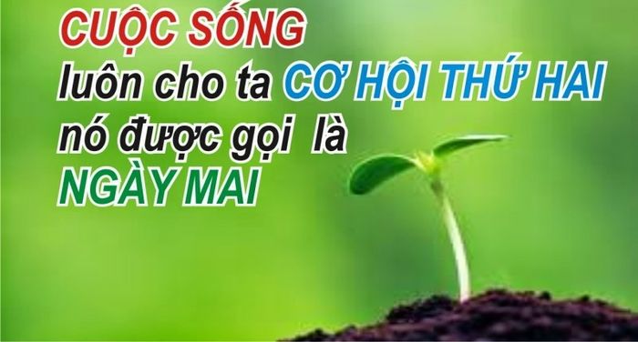 Hình minh họa (Nguồn: Internet) hình 1