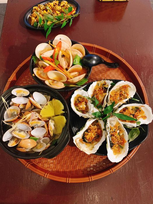 Hồng Điệp hình 2