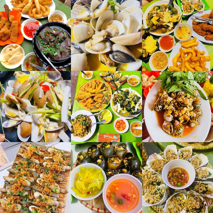 Hồng Điệp hình 1
