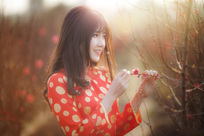 Bức ảnh hoa đào chào xuân mới 1