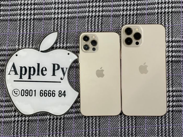 Hình ảnh Apple Py 1