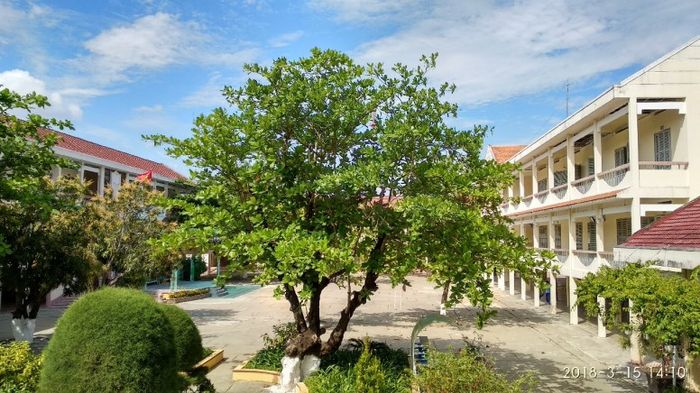 Ảnh minh họa (Nguồn internet) hình 2