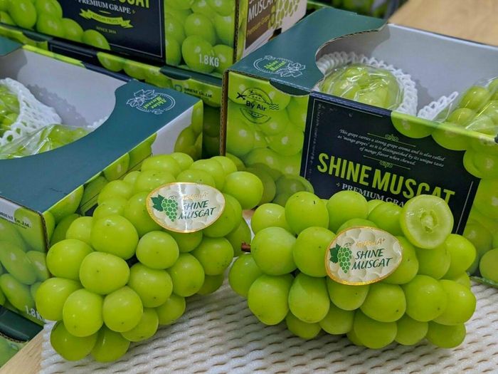 Hình ảnh Quỳnh Fruit 1