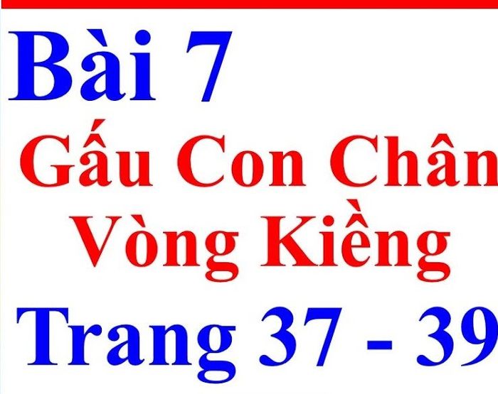 Hình minh họa (Nguồn từ internet) ảnh 1