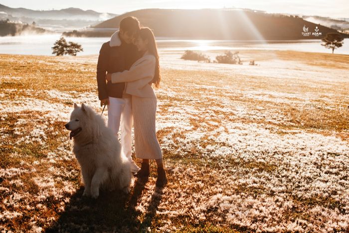 Ảnh 1 từ TuArt Wedding - Đà Lạt