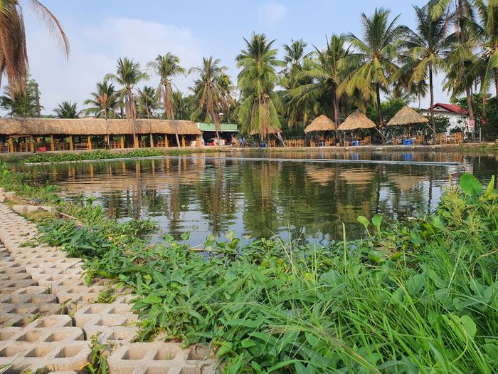 Hồ Câu Cá Giải Trí Sen - Ảnh 1