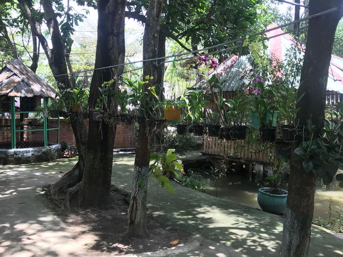 Câu cá Quán Hương Đồng - Ảnh 2