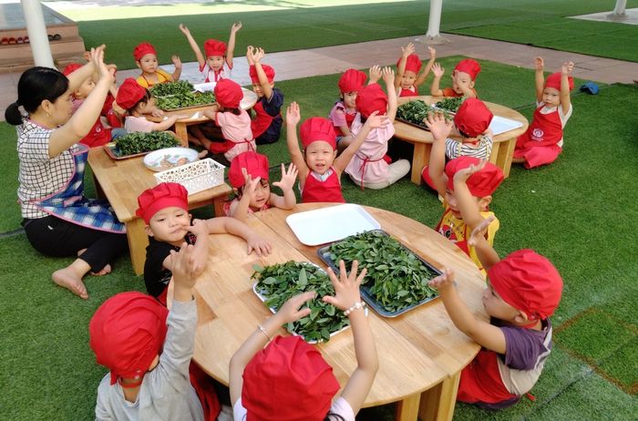 Hình ảnh 2 - Trường Mầm Non Bích Đào
