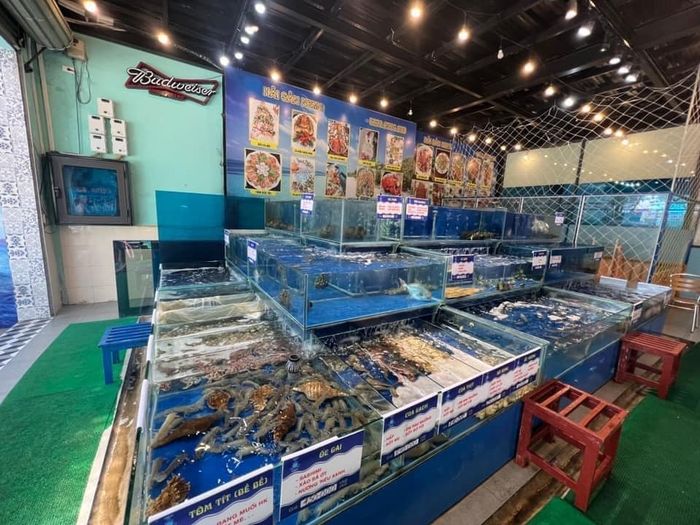 Nhà hàng NEMO Sóng Xanh - Hình ảnh 2