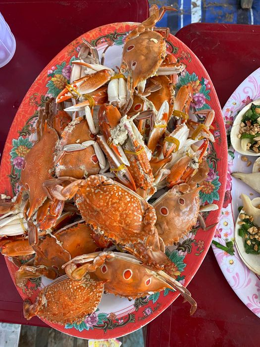 Hồ câu cá giải trí Thủy Tiên - Ảnh 2