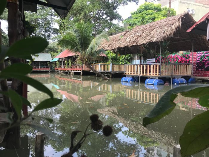 Câu cá Quán Hương Đồng - Ảnh 1