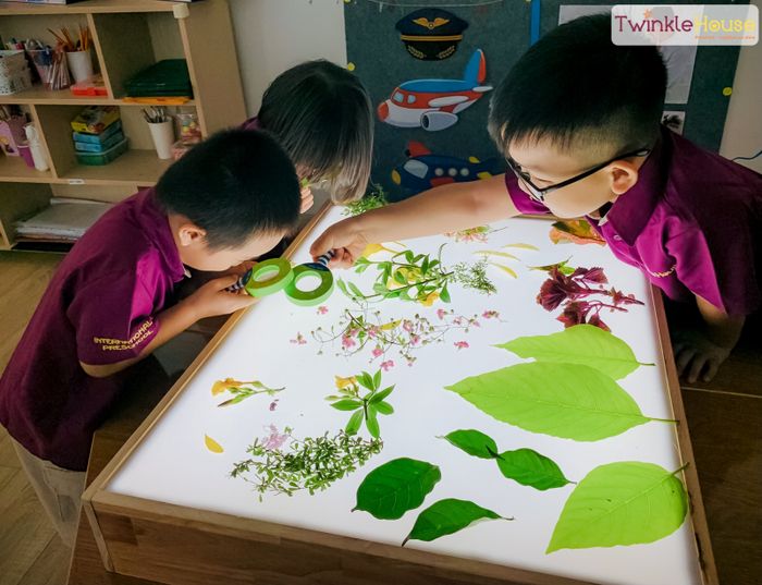 Hình ảnh Trường mầm non Twinkle House – Ngôi Nhà Sao Sáng