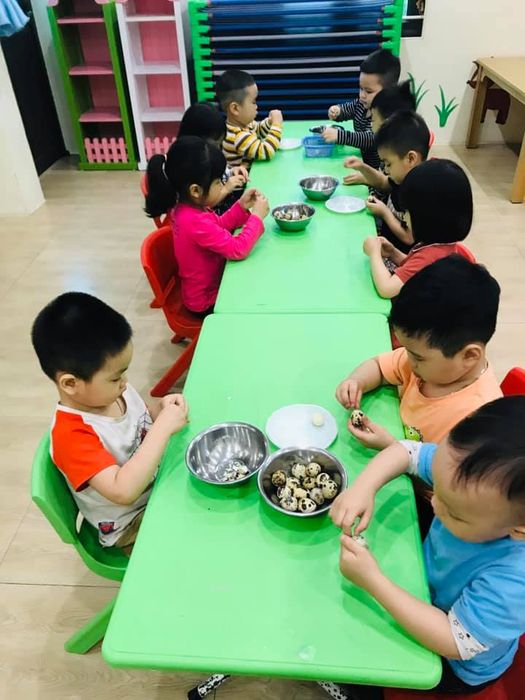 Hình ảnh Trường Mầm non Điểm Sáng 2