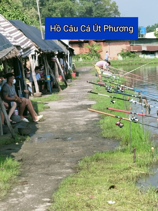Hình ảnh về khu câu cá giải trí Út Phương 1