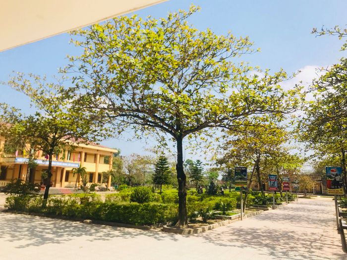 Ảnh 1 của Trường THCS Nguyễn Du