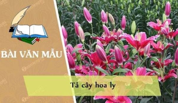 Hình minh họa (Nguồn internet) ảnh 1