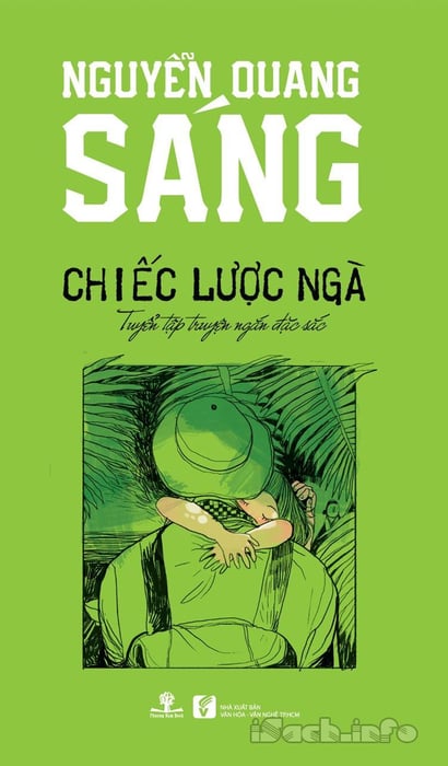 Hình minh họa số 1