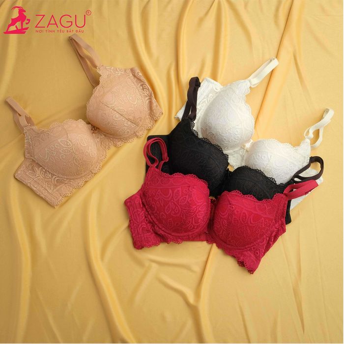 Hình ảnh ZAGU 3