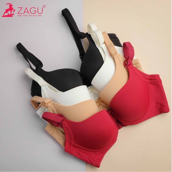 Hình ảnh ZAGU 1