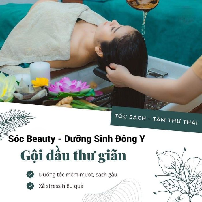 Sóc Beauty ảnh 1