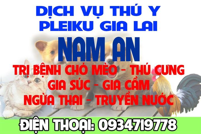 Hình ảnh 1 của Dịch vụ thú y Nam An Pleiku