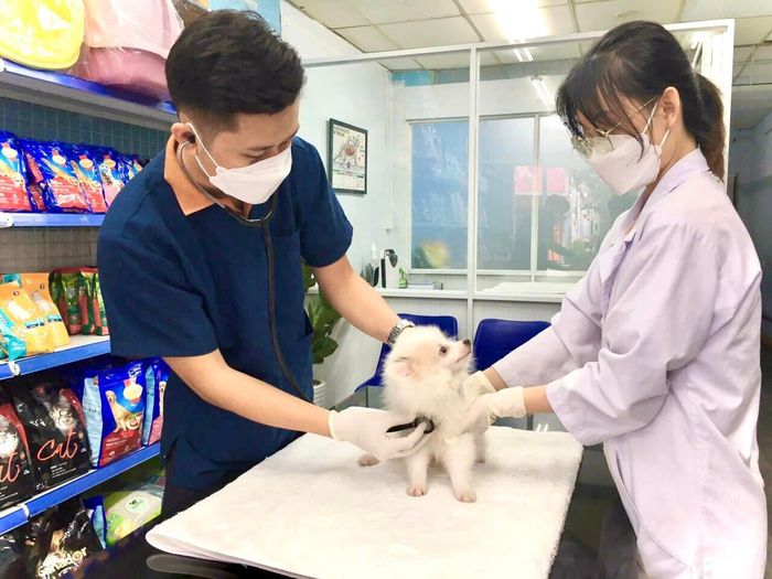 Ảnh 1 của Phòng Khám Thú Y - 24/7 Pet Clinic