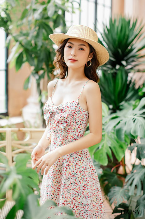 Hình ảnh Daisy 1