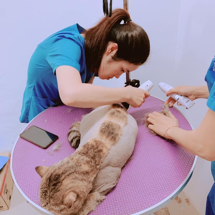 Hình ảnh 3 của ThiThi Pet Clinic & Pet Shop