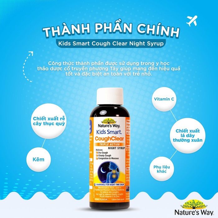 Nature’s Way Siro giảm ho đờm ban đêm hình 2