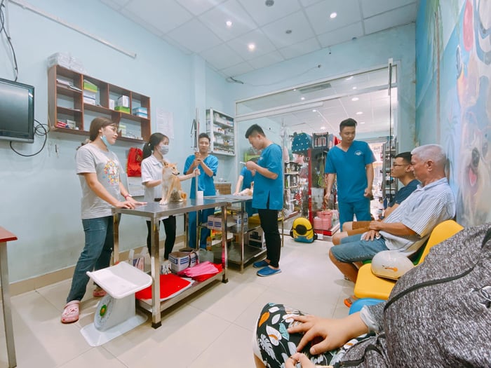 Hình ảnh 2 của ThiThi Pet Clinic & Pet Shop