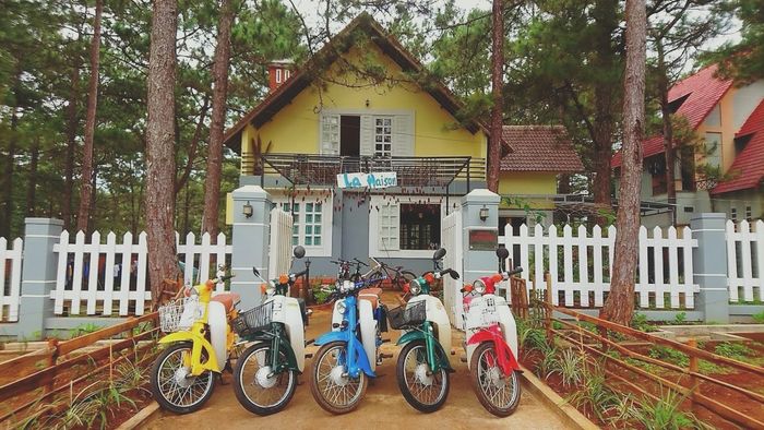 La Maison Homestay Măng Đen - Ảnh 1