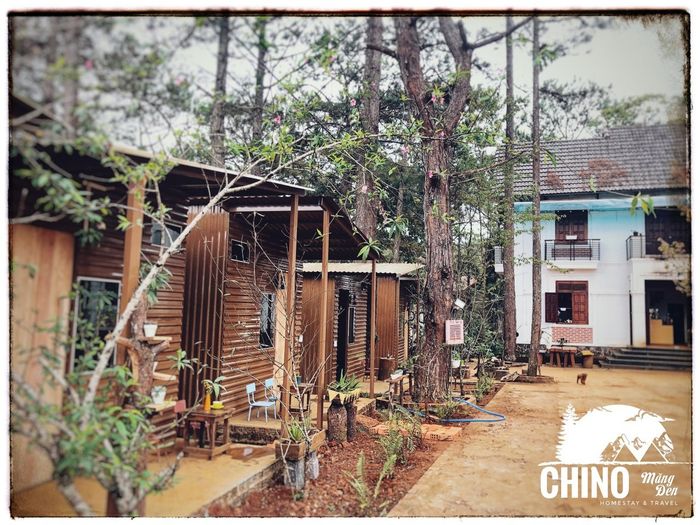 Ảnh Chino Homestay Măng Đen 1