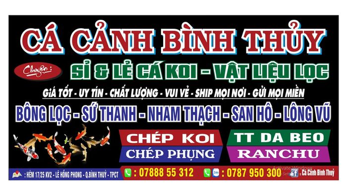 Hình ảnh 1 của Cá Cảnh Bình Thủy